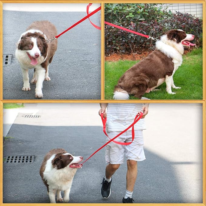 AMAGOOD 6 FT Puppy/ Dog Leash, Strong and Durable Traditional Style Leash with Easy to Use Collar Hook, Great for Small, Medium and Large Dogs (1 in x 6 ft, Red)