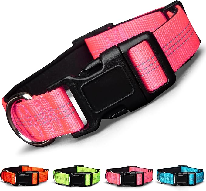BLAZIN Reflective Dog Collar - Vibrant Color for Day and Night - Soft Neoprene Padded Collar - Adjustable Sizing -'Color Me Happy!' Dog Collars - Brighter Means Safer - (Large, Pink)
