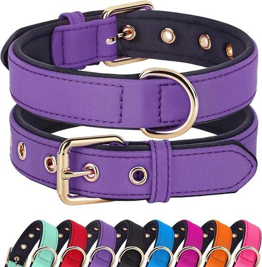 Didog Soft Padded Dog Collars for Medium Dogs, Lightweight and Breathable Purple Dog Collar Waterproof with Metal Buckle, Purple, M