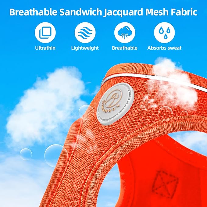 Soft Mesh Dog Harness and Leash Set, No Pull Puppy Harness and Leash Set, Reflective Step in Harness for Small Medium Dogs, Easy Walk Escape Proof Vest Harnesses (Orange, M)