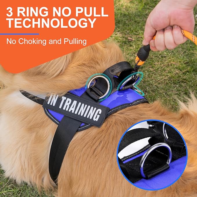 Essential Dog Harness, No Pull Pet Harness with 3 Side Rings for Leash Placement, No Choke, Reflective, Adjustable Pet Vest, Easy On-Off & Improved Control Handle, Training, Walking, Running Blue