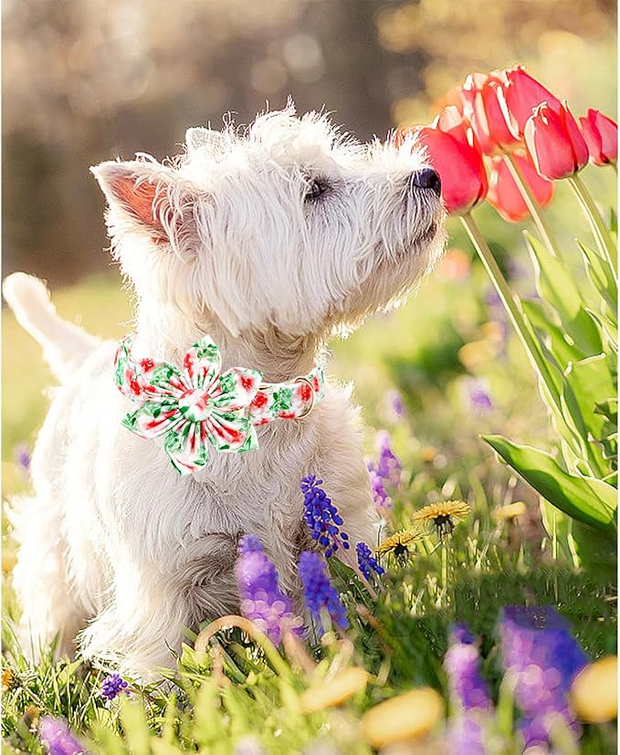 Lionheart glory Dog Collar Flowers Collar Floral Dog Collar with Flower Spring Summer Cute Collar Dog Boy or Girl Dog Collars Soft Durable Adjustable Dog Collars for Large Dogs, Red Roses