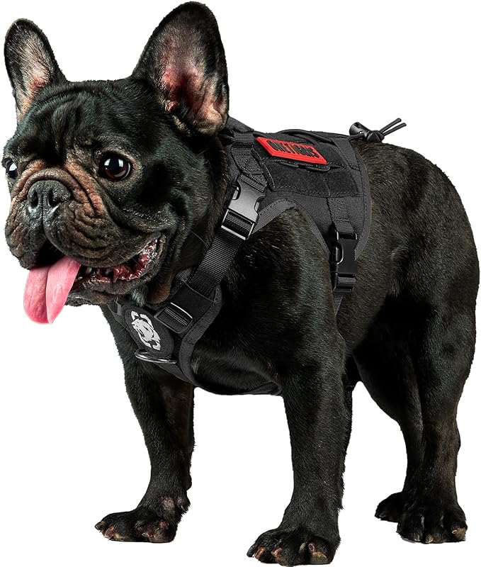 OneTigris Tactical Dog Harness Vest with Handle, Dog Harness for Large Medium Dogs,No-Pull Service Dog Vest with Hook & Loop Panels,Adjustable Dog Vest Harness for Walking(Black,Small)