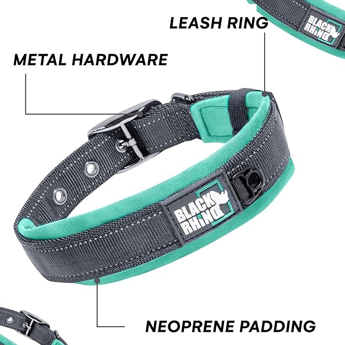 Black Rhino Dog Collar for Large Dogs - Adjustable Reflective Heavy Duty Collar with Ultra-Soft Neoprene Padding - Weatherproof, Durable, and Comfortable - Ideal for Active Dogs - Aqua and Gray