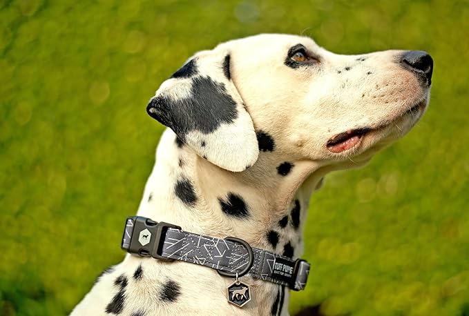 Tuff Pupper Premium Adjustable Dog Collar for Large Boy & Girl Dogs, Stylish Pattern Collars Designed in USA, Quick Release Buckle, TotemRealm Print, Large (1 Inch Wide x 18-26 Inch Neck)