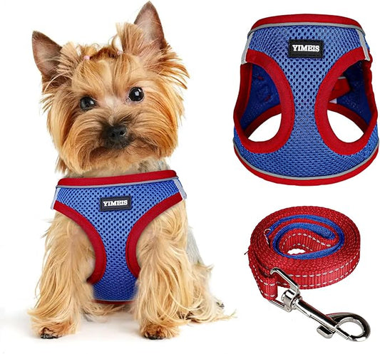 Dog Harness for Small Dogs and Leash Set, Honeycomb Grid, Reflective Lightweight Harness & Anti-Twist Pet Lead Multi Color, Size: XS-S-M. (M, Red & Blue)
