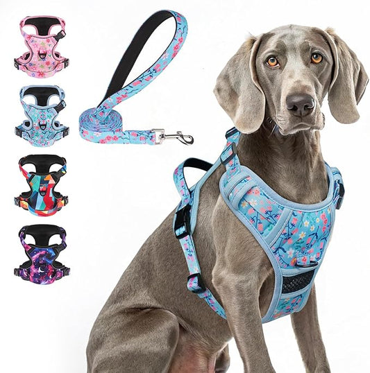BEAUTYZOO No Pull Dog Harness Large,Adjustable Dog Harness and Leash Set -Easy Wearing with 3 Buckles/Control Handle,No Choke Soft Padded Reflective Pet Vest for Training Walking Hiking,Blue XL