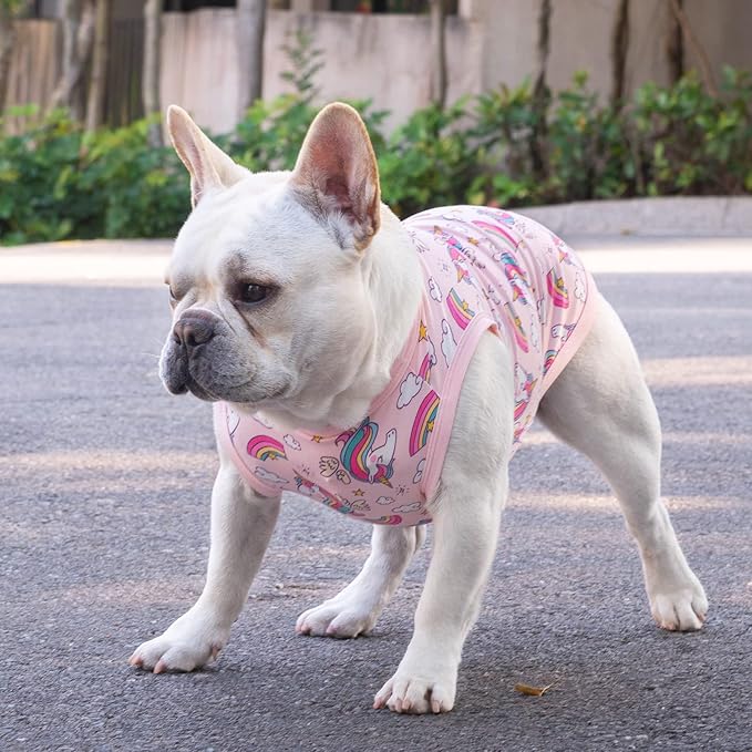 CuteBone Dog Shirts 2-Pack Soft Pet Clothes Breathable Summer Vest for Small Puppy and Stretchy Cat Apparel 2BX09M