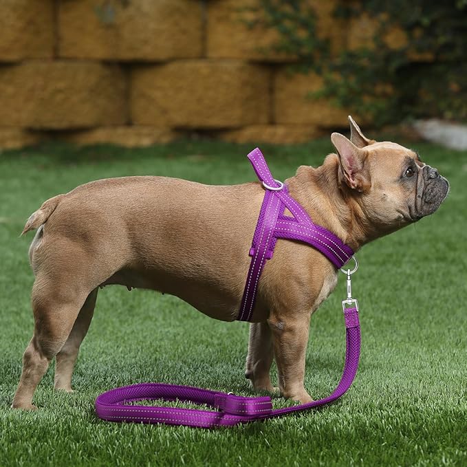 Plutus Pet No Pull Dog Harness with Breathable Mesh Padded, Adjustable Reflective Escape Proof Dog Harness, Quick Fit Dog Vest Harness for Small Medium Large Dogs(XL, Purple)