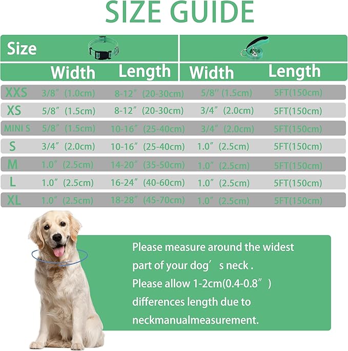 Reflective Dog Collar with Safety Locking Buckle, Adjustable Soft Breathable Nylon Collars for Small, Medium and Large Dogs(Collar+Leash S Width 5/8" Turquoise)