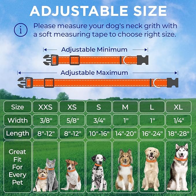 TECEUM Reflective Pet Collar – Orange – XS – Extra Soft Padding – Basic Nylon Dog Collar – Quick Release Buckle – Fits Small, Medium and Large Dogs, Puppies, Cats – ESA & Service Dog Options