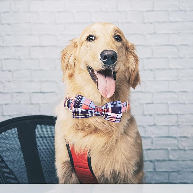 Adjustable Bow Tie Dog Collar Printed Cute Patterns Spring Summer Soft Pet Collars for Small Medium Large Dogs