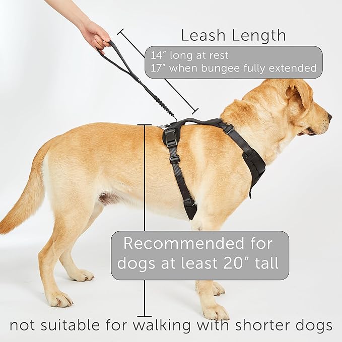 TUG Grab Dog Harness | Integrated Traffic Leash Magnetically Attached for Quick Control (XL/Cream)