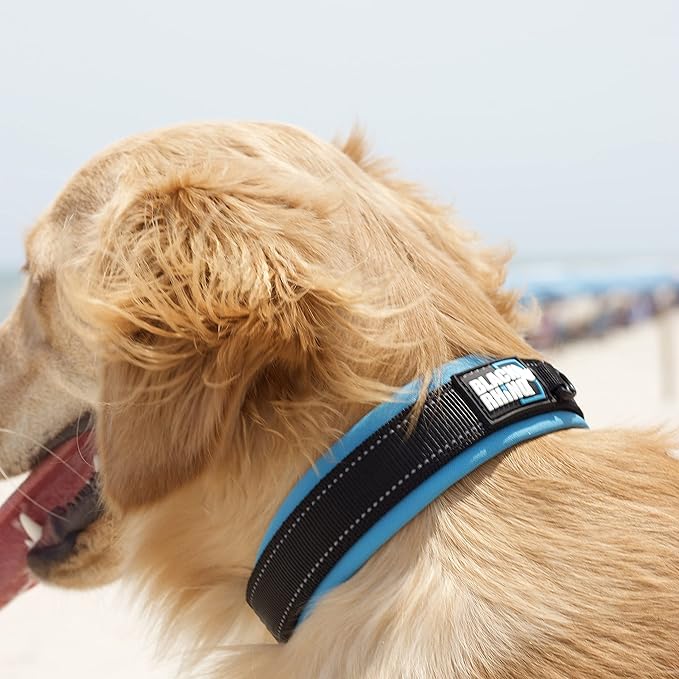 Black Rhino - The Comfort Collar Ultra Soft Neoprene Padded Dog Collar for All Breeds - Heavy Duty Adjustable Reflective Weatherproof (Small, Sport Blue/Bl)