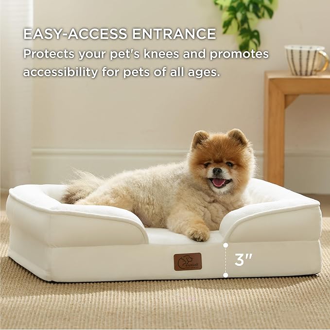 Bedsure Small Orthopedic Dog Bed - Washable Bolster Dog Sofa Beds for Small Dogs, Supportive Foam Pet Couch Bed with Removable Washable Cover, Waterproof Lining and Nonskid Bottom Couch, Ivory