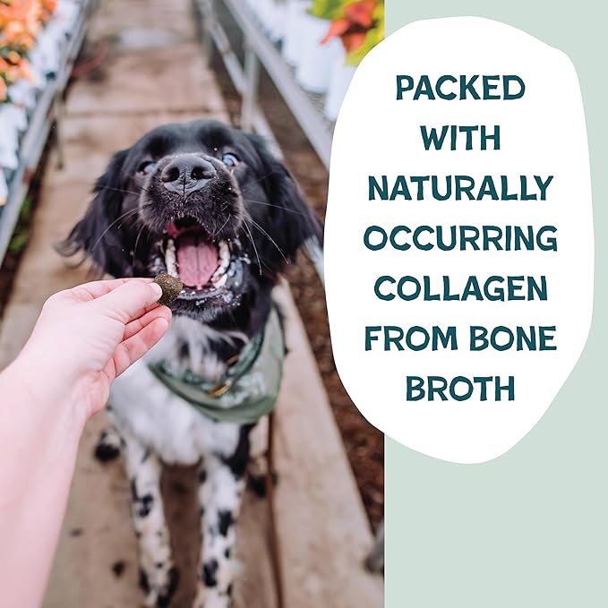 Shameless Pets Dog Training Treats, Bacon Bone Broth Bits - Natural & Healthy Puppy Dog Treats - Soft Training Treats for Dogs with Naturally Occurring Collagen - Medium Dog Treats, 8 oz (Pack of 1)