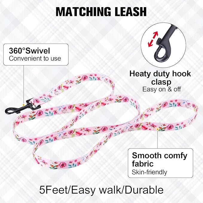 BEAUTYZOO No Pull Dog Harness and Leash Set - Adjustable Step-in Puppy Harness for Small Medium Large Dogs, Escape Proof Soft Nylon Vest with Double D Ring for Walking Running Training, Pink XS