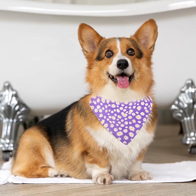 Dog Collars and Bandanas - Soft Adjustable Fancy Floral Boys Girls Puppy Collar for Small Medium Large Dogs.