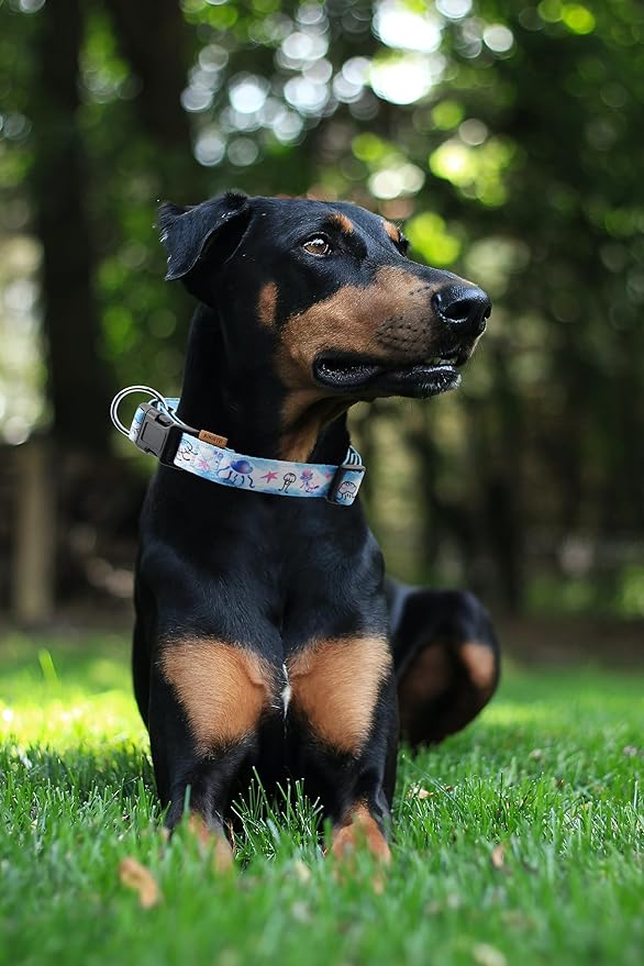 Dog Collar, Cute Jellyfish in Ocean Pattern, Neoprene Padded and Adjustable Collar with Quick Release Buckle, Reinforced Structure (L (Neck 18-28", Width 1"), Ocean Blue)