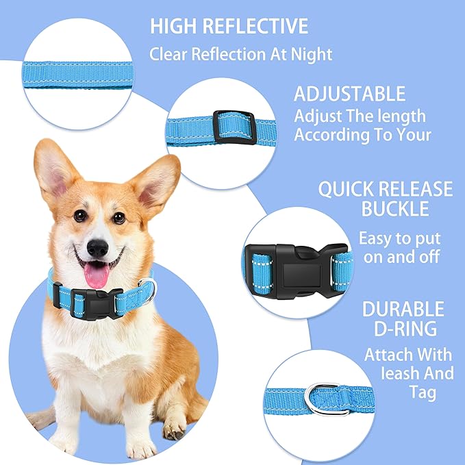 Reflective Dog Collar with Safety Locking Buckle, Adjustable Soft Breathable Nylon Collars for Small, Medium and Large Dogs(Collar+Leash S Width 3/4" Sky Blue)