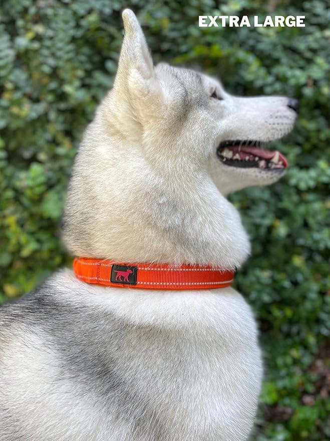 Heavy Duty Dog Collar with Handle | Ballistic Nylon Heavy Duty Collar | Padded Reflective Dog Collar with Adjustable Stainless Steel Hardware | Convenient Sizing for All Breeds X-Large (19-23" Neck)