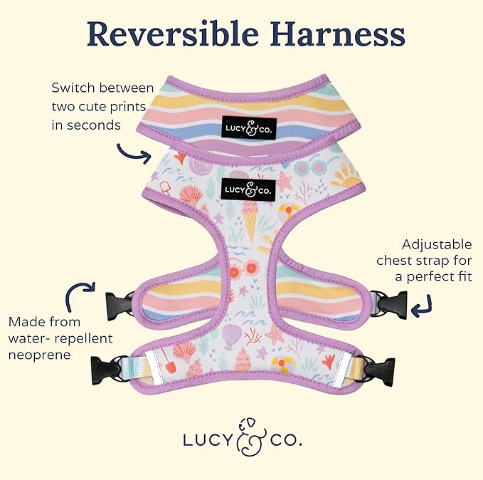 Lucy & Co. Cute Reversible Dog Harness Walking Halter - Best Designer Pet Harnesses for XS - XL Dogs - Padded Adjustable Vest for Easy Walking - X Small -Pastel Seashells