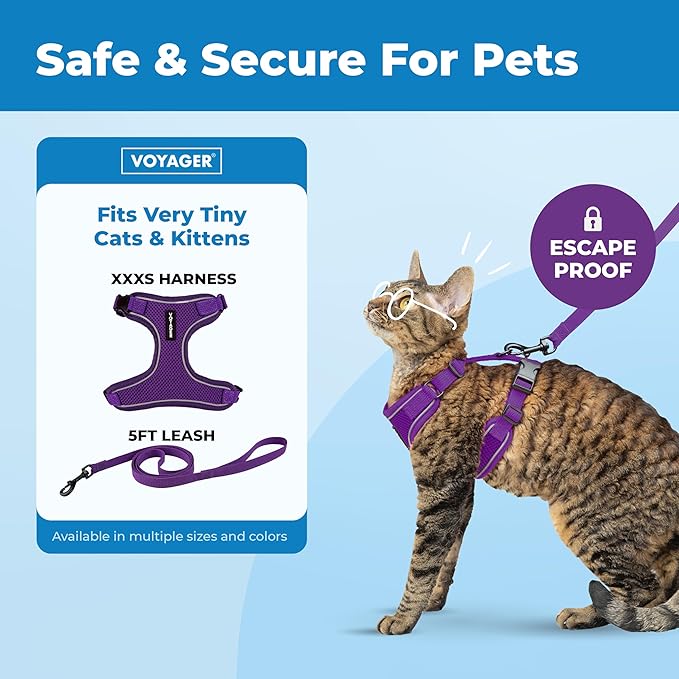 Voyager Escape Proof Cat Harness and Leash Set with Reflective Stitching, Neoprene Handle 5ft - Supports Small, Medium and Large Cats, Kittens for Walking by Best Pet Supplies - Purple, XXXS