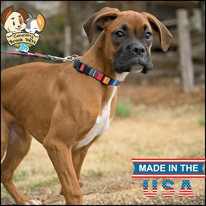 Country Brook Petz - Deluxe Serape Dog Collar - Made in The U.S.A. - Country and Western Collection Featuring Rustic Designs (5/8 Inch, Small)