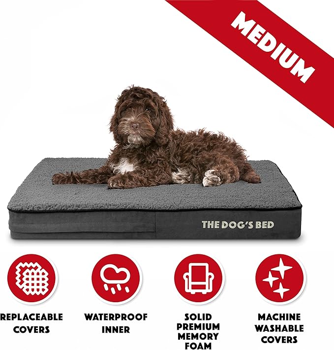 The Dog’s Bed Orthopedic Memory Foam Dog Bed, Dark Grey Plush Medium 34x22, Pain Relief for Arthritis, Hip & Elbow Dysplasia, Post Surgery, Lameness, Supportive, Calming, Waterproof Washable Cover