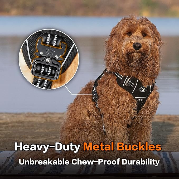 PawsPassion Tactical Dog Harness for Medium Dogs, Chew-Proof Metal Hardware, Heavy Duty No Pull Dog Harness, Reflective Strips, Adjusting Ring, MOLLE System, Hook and Loop Panel (Stealth, M)