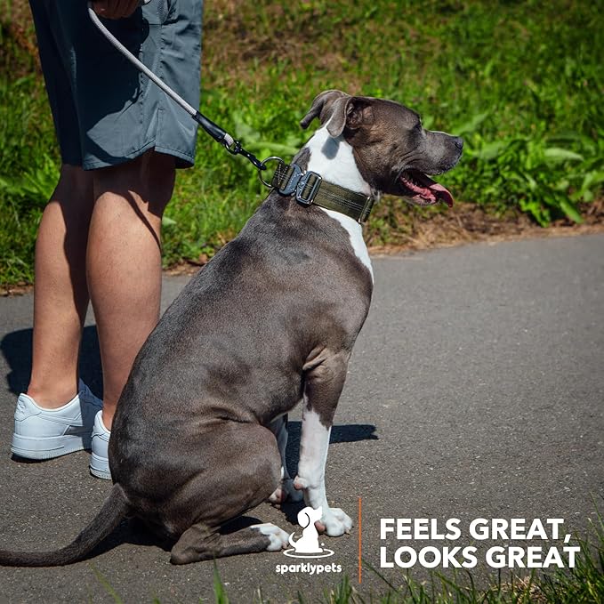 SparklyPets Heavy Duty Wide Dog Collar with Quick Release Chrome Buckle – Thick Tactical Dog Collar with Reflective Stripes & Soft Lining – for Large & Medium Breeds