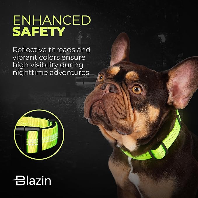 BLAZIN Reflective Dog Collar - Vibrant Color for Day and Night - Soft Neoprene Padded Collar - Adjustable Sizing -'Color Me Happy!' Dog Collars - Brighter Means Safer - (Large, Pink)