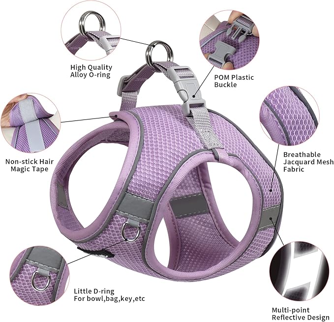 AIITLE No Pull Dog Harness and Leash Set, Step in Adjustable Dog Harness with Padded Vest for All Weather, Reflective Pet Harness, Easy to Put on Small Dogs Purple S