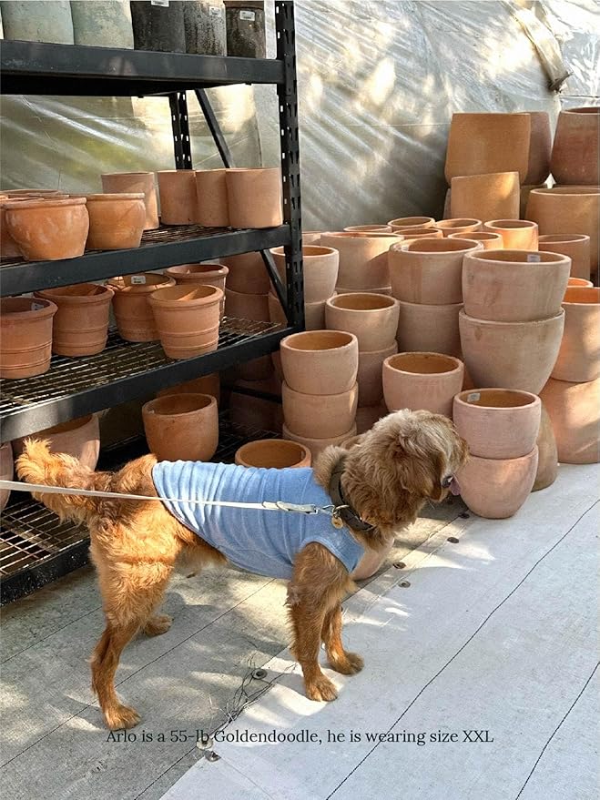 ADEDAS Sleeveless Shirt - Blue L