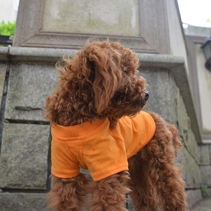 Lovelonglong Pet Clothing Dog Costumes Basic Blank T-Shirt Tee Shirts for Small Dogs Orange S