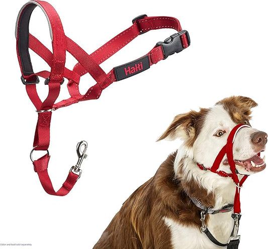 HALTI Headcollar - to Stop Your Dog Pulling on The Leash. Adjustable, Reflective and Lightweight, with Padded Nose Band. Dog Training Anti-Pull Collar for Medium Dogs (Size 2, Red)