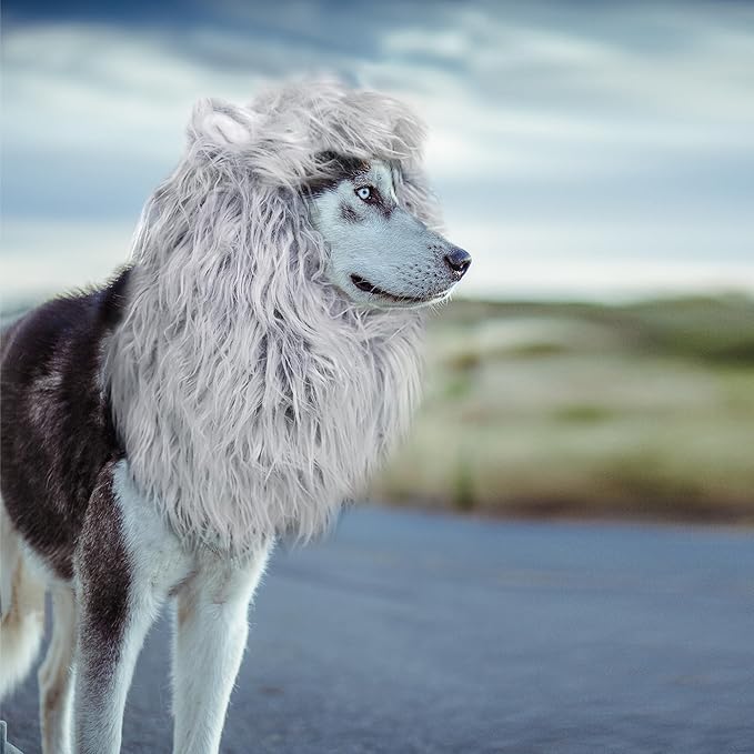 Onmygogo Lion Mane Wig for Dogs with Ears, Funny Pet Costumes for Halloween Christmas (Size L, Grey with White)
