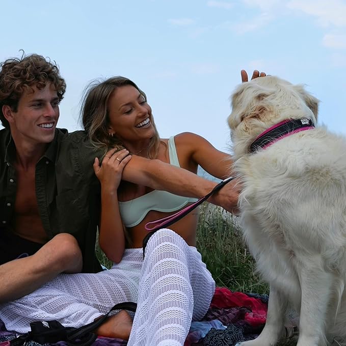 Black Rhino - The Comfort Collar Ultra Soft Neoprene Padded Dog Collar for All Breeds - Heavy Duty Adjustable Reflective Weatherproof (Large, Pink/Black)