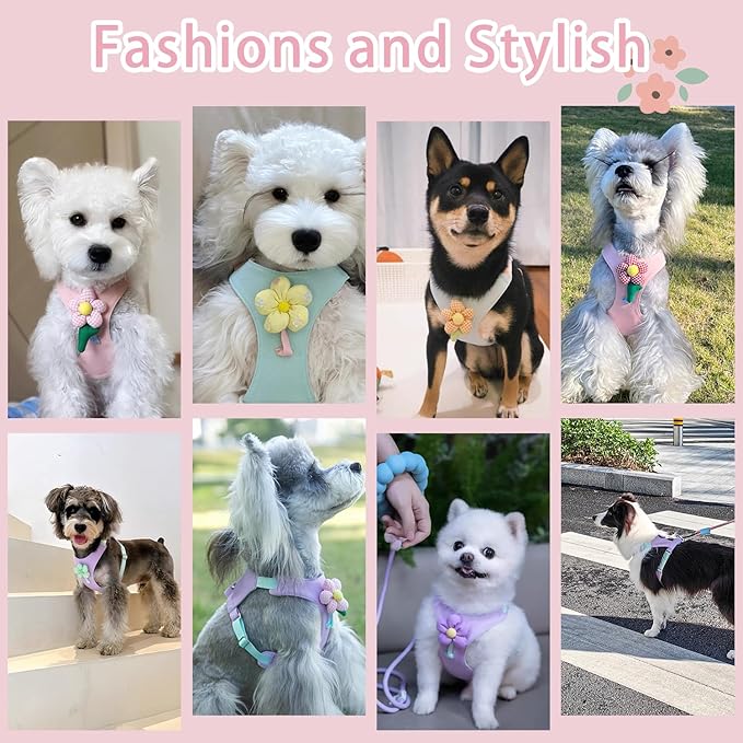Dog Harness and Leash Set with 2 Flower Patches, No Pull Adjustable Puppy Harness, Step in No Chock Dog Vest for Small Medium Dogs Puppy and Cats(Pink, M)