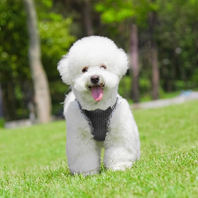 Summer Soft Dog Harness and Leash Set,Ultra Thin Breathable Diamond Mesh, Step in Adjustable Dog Harness with Padded Vest for Medium Size Dogs in Hot Weather Black L