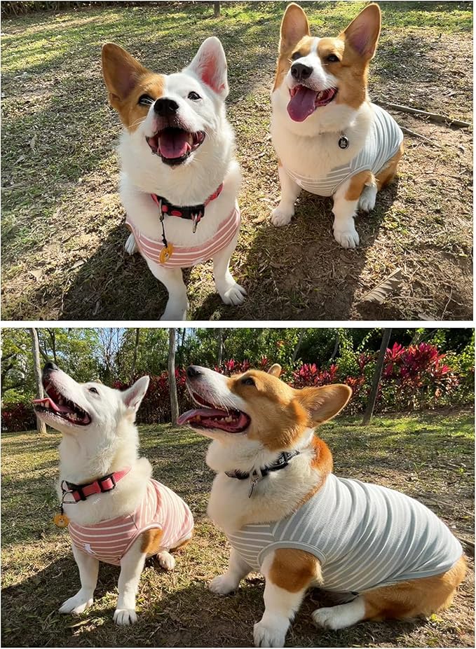 Koneseve Dog Shirt Vest Lightweight Stretchy Dog T-Shirts Soft Cool Sleeveless Stripe Vests Breathable Clothes for Puppy Kitty Cats Small Medium Large Dogs 2 Pack Pink + Green [ 6XL ]