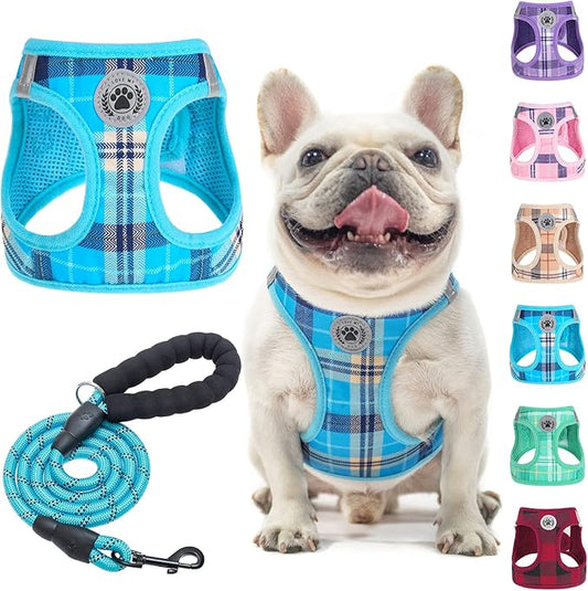 BEAUTYZOO Small Dog Harness and Leash Set,Step in No Choke No Pull Soft Mesh Dog Harnesses Reflective for Extra-Small/Small Medium Puppy Dogs and Cats, Plaid Dog Vest Harness for XS S Pets, Blue M