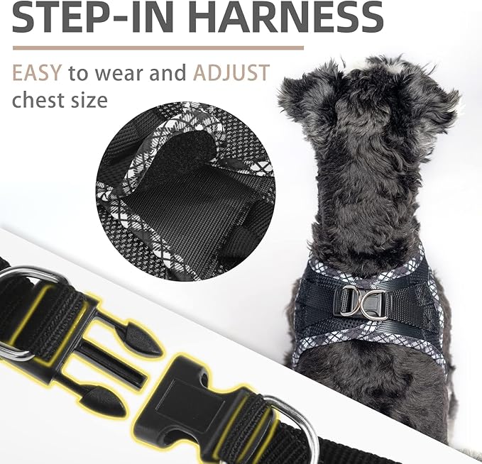 PUPTECK Dog Harness and Leash Set for Small Medium Dogs No Pull Step-in Soft Mesh Puppy Cat Vest Harnesses Reflective at Night, Black L
