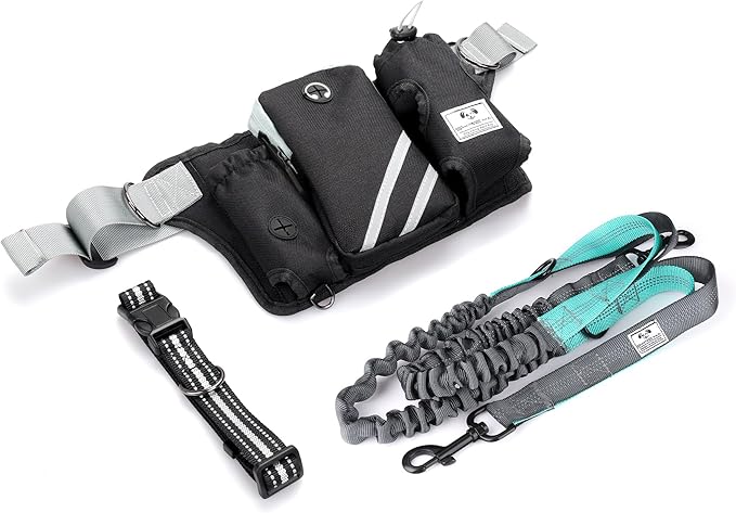 SHINE HAI Retractable Hands Free Dog Leash with Dual Bungees for Dogs, Adjustable Waist Belt Bag, Reflective Stitching Leash for Running Walking Hiking Jogging Biking (for 1 Dog)