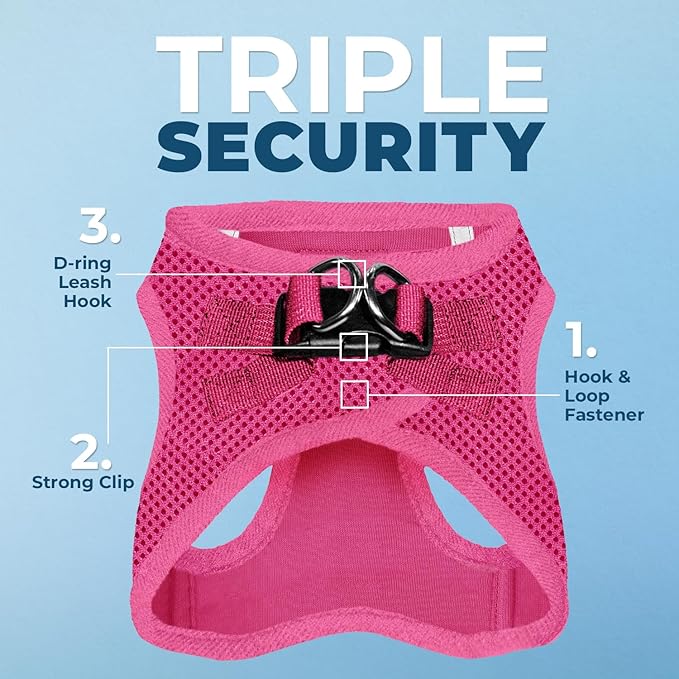 Voyager Step-in Air All Weather Mesh Harness and Reflective Dog 5 ft Leash Combo with Neoprene Handle, for Small, Medium and Large Breed Puppies by Best Pet Supplies - Set (Fuchsia), XL