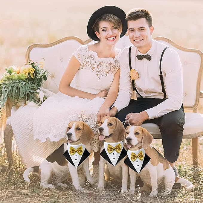 Tuxedo Costume Wedding Bandana Nylon Collar Suit With Gold Bow Tie Adjustable Black Tux Formal Dog Clothes for Small Medium Large Pet Birthday Christmas Dress Outfits