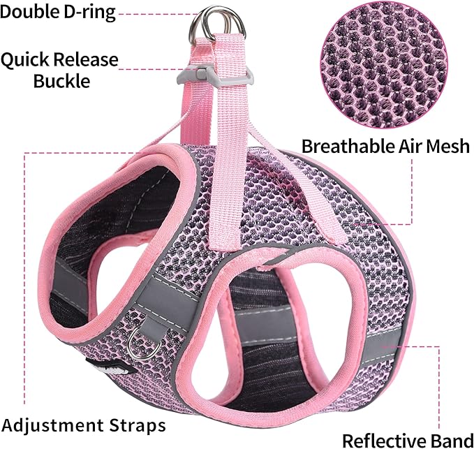 AIITLE Dog Harness with Leash Set - All Weather Breathable Mesh, Reflective Stripes, Adjustable Escape Proof Pet Outdoor Harnesses for Medium Dogs Pink M