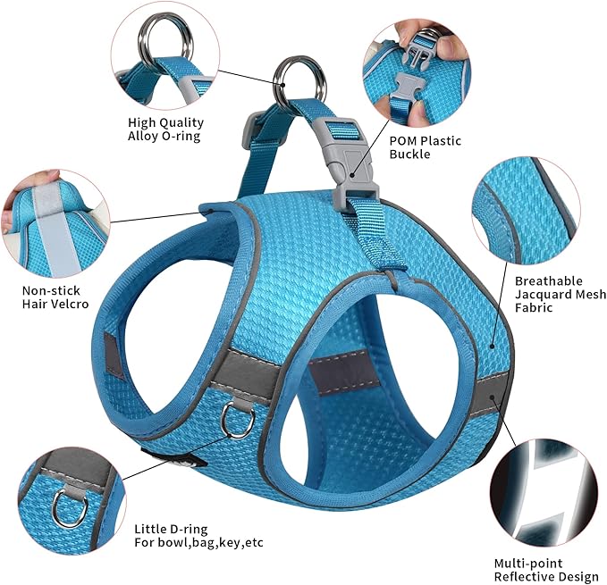 AIITLE Small Dog Harness, No-Pull Cat Harness with a Leash, Step in Adjustable Puppy Harness with Quick-Release Buckle, Reflective Outdoor Pet Vest for Extra Small Dogs and House Cats Blue XXS