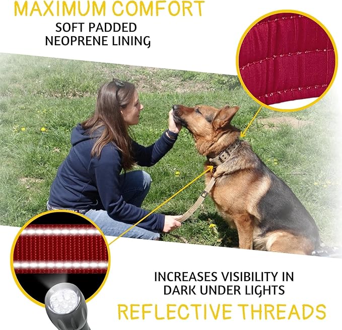 ADITYNA Heavy Duty Dog Collar for Medium Dogs - Reflective Burgundy Collar with Handle for Training, and Walking - Wide, Thick, Tactical, Soft Neoprene Padded