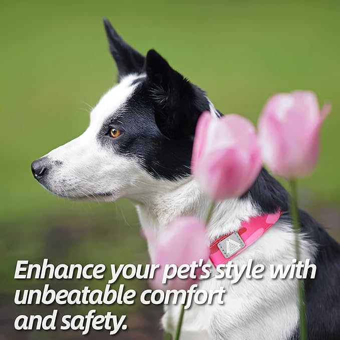 Soft Padded Dog Collar, Neck 12’’-20’’, Adjustable Heavy Duty Collar with 3M Reflective Logo for Medium, Large Dogs, Camo Pink, Medium